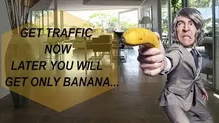 Traffic Robot Review-Traffic Robot Reviews-Traffic Robot Review Without BONUS