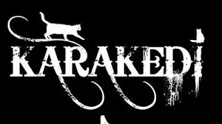 Karakedi -  #karakedi #ankara #black #cat #dark #music #band #90s #rock #heavymetal #kedi #hammer 