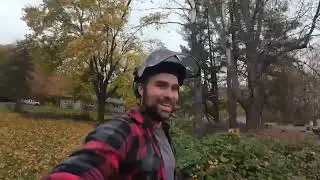 (Live Stream) spOoOoky tree removal