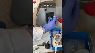 Co kryje w środku lepkościomierz Stabinger SVM 3001? #shorts