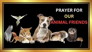 PRAYER FOR OUR ANIMAL FRIENDS