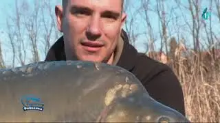 Čari Ribolova - Peskara ''Čepel'' Zrenjanin (20.02.2022)