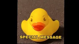 A Message From A Duck | Miles of Magic Presents 