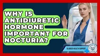 Why Is Antidiuretic Hormone Important For Nocturia? - Bladder Health Support