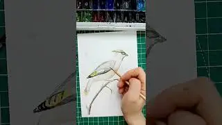 Watercolor bird speed paint Рисую птицу акварелью #drawing #watercolor #tutorial #painting
