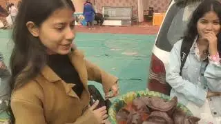 पहाड़ी🏞️ राज्योत्सव 2026 By Ghughuti foundation 