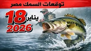 توقعات الصيد في مصر في 18 يناير 2026: اترك كل شيء واذهب للصيد!