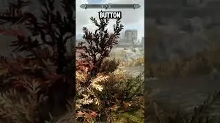 This Whirlwind Sprint Exploit Breaks Movement in Skyrim