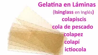 COLAPEZ, COLAPISCIS, COLA DE PESCADO o GELATINA en LAMINAS