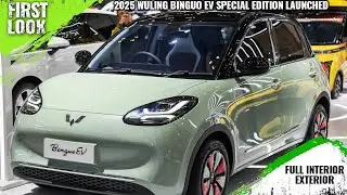 Wuling Binguo EV Special Edition 2024 Launched At GIIAS 2024 - First Look - Full Interior Exterior