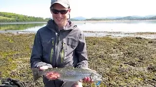 Time for the estuary