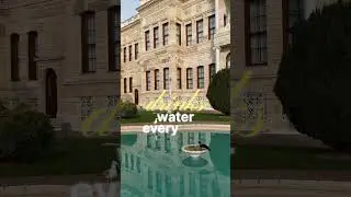 Best Water for Birds
