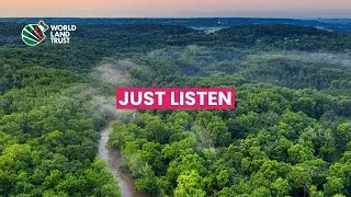 Just Listen