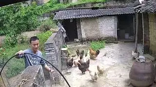 Country Life | Discover Scenery & Real Life Everyday in China Countryside #countrylife #countryside