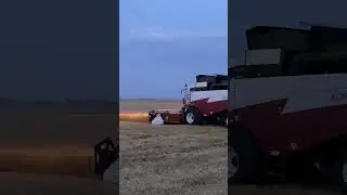 #agro #agromachine #tractor #агро #сельскоехозяйство  #механизатор #harwesting #уборка #комбайн