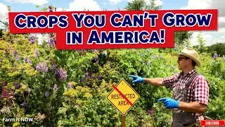10 Illegal Garden Crops You Can&rsquo;t Grow in America
