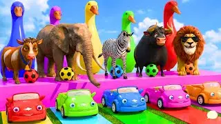 Guess the Right Car. 5 Giant Duck Cartoon: Cow, Elephant, Lion, T-Rex. Paint Wild Animals Animation