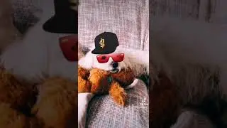 #puffbear