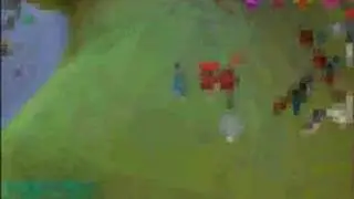 twg06 at pest control and the duel arena!