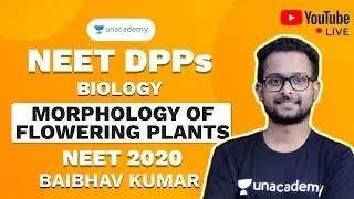 NEET 2020 DPP on Morphology Of Flowering Plants | Biology | Baibhav Kumar | Unacademy Sapiens
