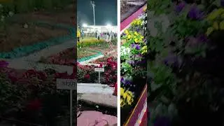 जी हां baby shines like a flower everyday #flowers #shorts #viralvideo #ytshorts
