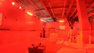 Red Light Green Light Seoul Squid Game Experience