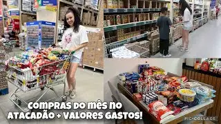 COMPRAS DO MÊS DE FEVEREIRO NO ATACADÃO + VALORES DETALHADOS 🩷
