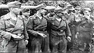 German Tank Crews Had No Idea: American Shermans Operated With the Most Sophisticated Radios of WWII