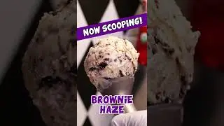 𝐍𝐎𝐖 𝐒𝐂𝐎𝐎𝐏𝐈𝐍𝐆: 𝐁𝐑𝐎𝐖𝐍𝐈𝐄 𝐇𝐀𝐙𝐄 🤩🍨🍫