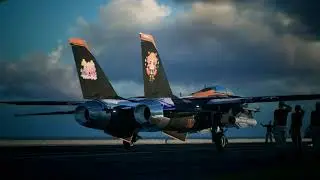 Ace combat 7 final mission with Mayano F-14D
