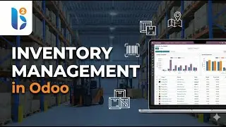 Comprehensive Training on Inventory Management 📦