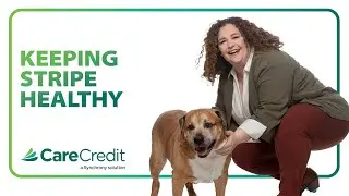 How Jessi Keeps Her Pets Healthy | My CareCredit Story