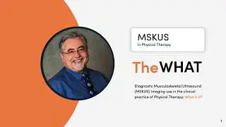 MSK POCUS (Part 1) in Physical Therapy