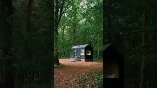 The Cabin Life // #nature #cabin #shorts #travel