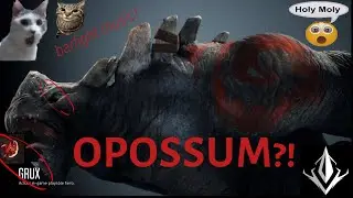 Opossum?! - Predecessor Montage