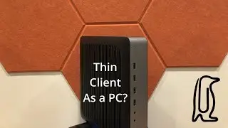 Can you use a THIN CLIENT as a standalone PC?