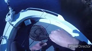 nelligen fishing Adventure