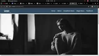 Customisation du menu css
