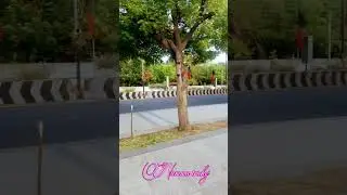 #city #explore #trichy #reels