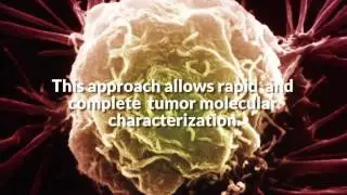 AmeriDrug Pathology Services