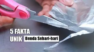 5 Fakta Unik tentang Benda Sehari-hari yang Mungkin Kamu Tidak Tahu