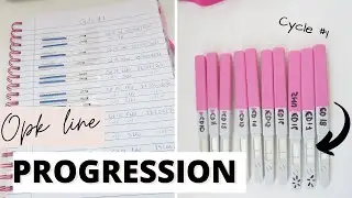 Ovulation Test Line Progression Cycle #1 || Trying To Conceive Baby #3