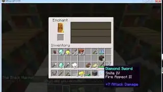 Minecraft Salvation Gamma VS Aceomatic