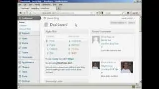 WordPress Tutorial - How to Change The Number of Blog Posts That Is Shown On The Home Page