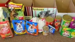 zbi&oacute;rka karmy dla TOZ w Puławach (10.X.2013)