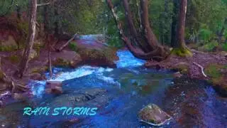 Rain Storms - Gordon Falt
