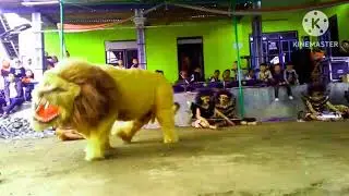 (REQUESTED) Singo Barong Seteyo Budoyo In Pika Major