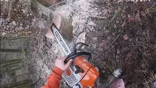 abattage risqué frêne qui penche contre un ratelier !! gopro hero 7