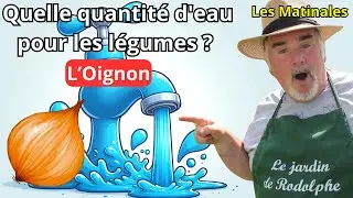 Comment Arroser vos Oignons/ Echalotes pour une R&eacute;colte Abondante