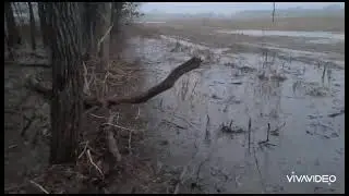 Dec 28, 2025 Field flooding in Hickory Corners 